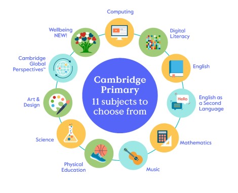 Cambridge Primary